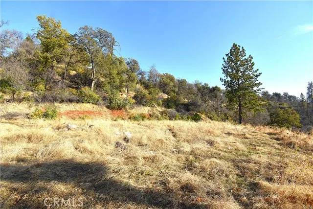 Berry Creek, CA 95966,0 Canyon Creek
