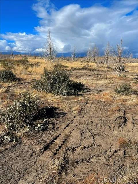 Weed, CA 96094,0 Juniper Valley