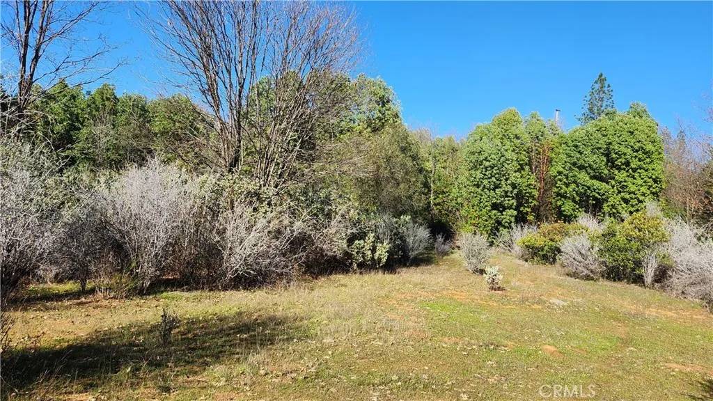 Dobbins, CA 95935,14550 Merriam