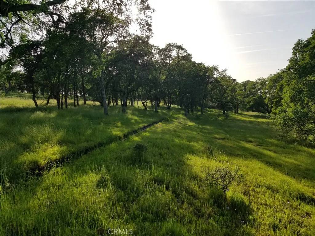 Oroville, CA 95966,0 Whitney