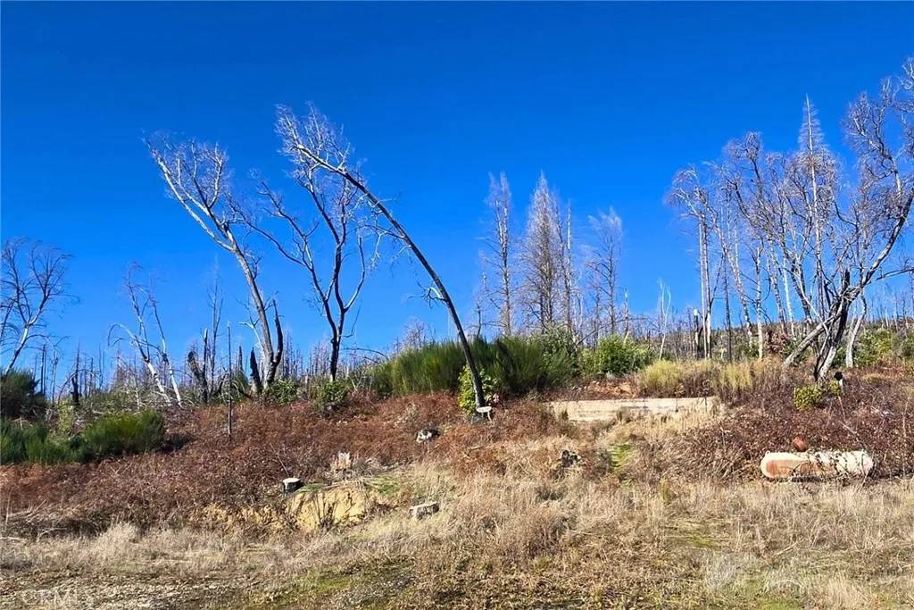 Berry Creek, CA 95916,89 Meadow