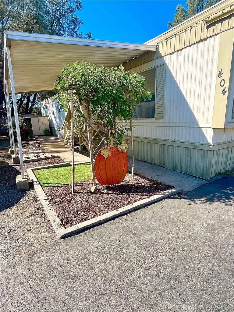 Oroville, CA 95965,703 Oro Dam West #404