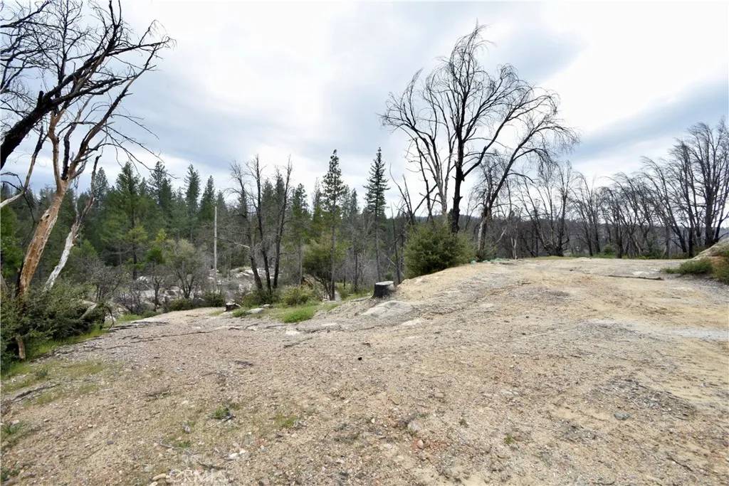 Berry Creek, CA 95916,77 Webster