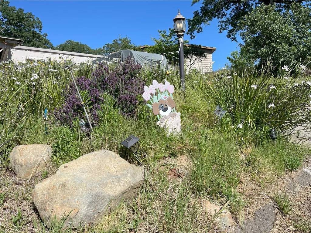 Oroville, CA 95966,115 Apache Circle