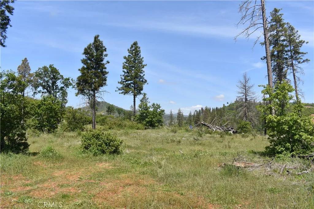 Oroville, CA 95965,0 Stone Mountain