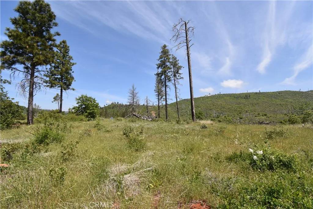 Oroville, CA 95965,0 Stone Mountain