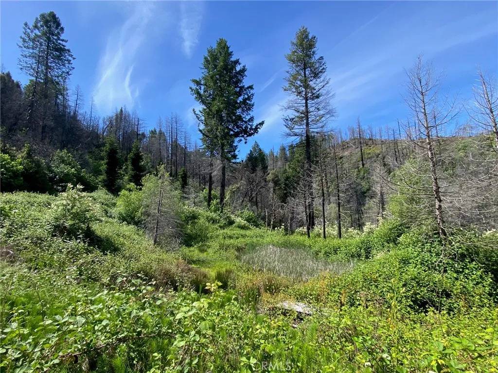Berry Creek, CA 95916,582 Eden Canyon