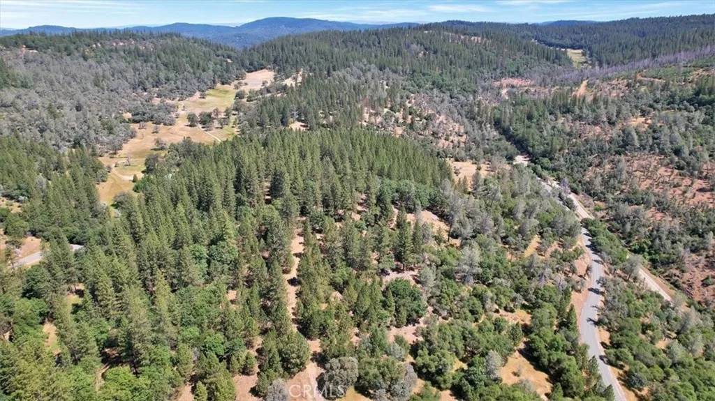 Brownsville, CA 95919,14818 Willow Glen