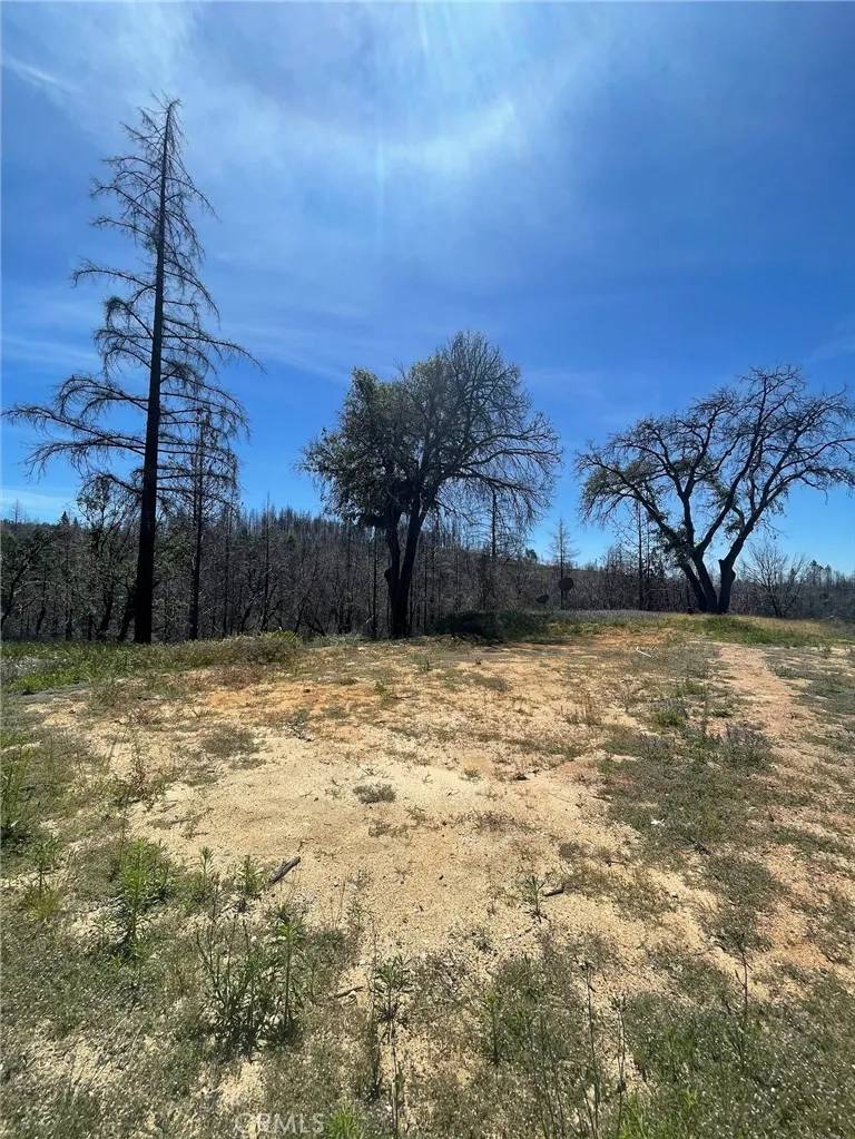 Berry Creek, CA 95916,180 Mirage Lake