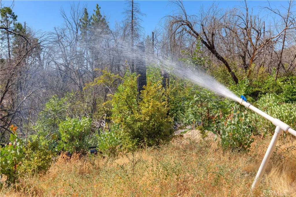 Berry Creek, CA 95916,653 Jatko