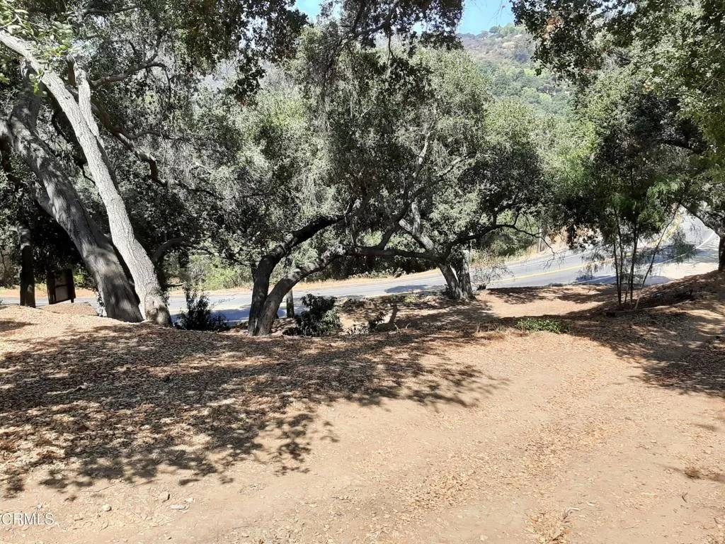 Topanga, CA 90290,1006 N Topanga Canyon