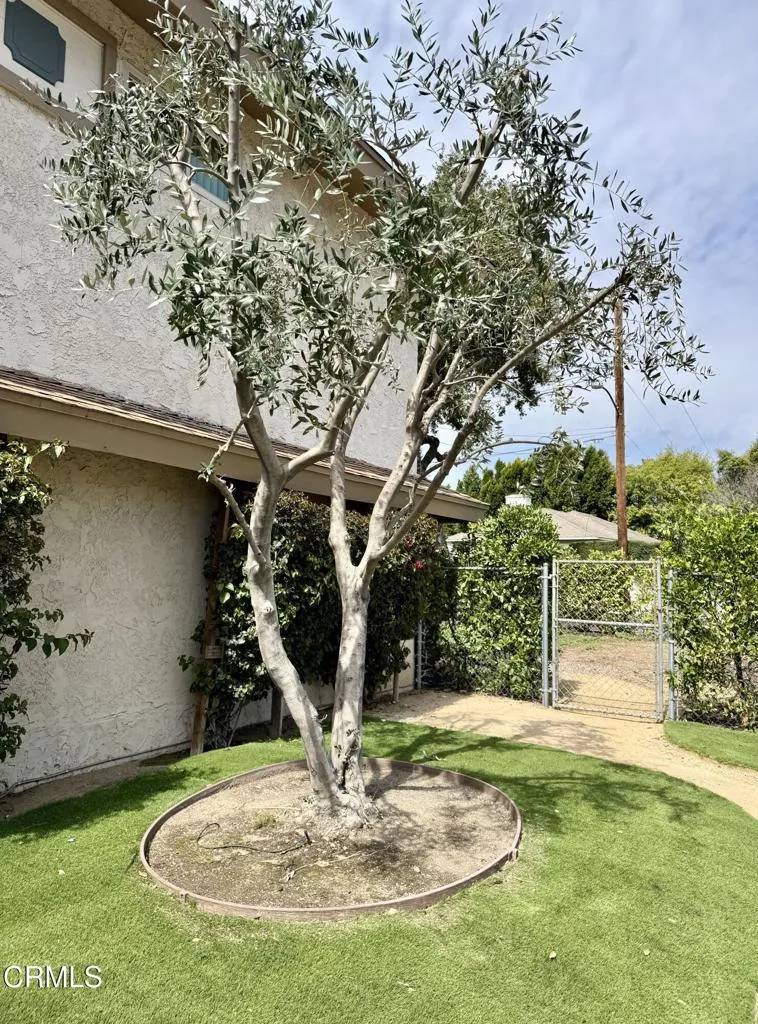 San Gabriel, CA 91775,345 N San Gabriel Boulevard