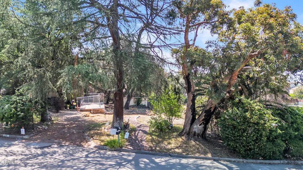 Altadena, CA 91001,3128 Mount Curve
