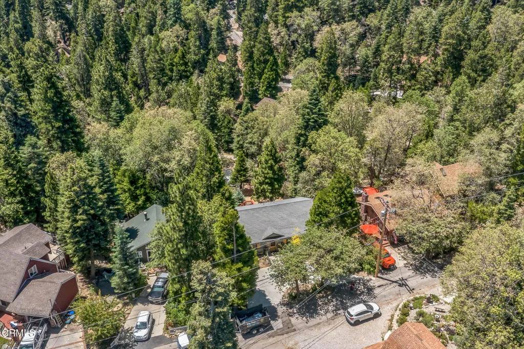 Twin Peaks, CA 92391,352 Cedarbrook Drive