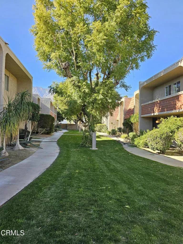 Palm Springs, CA 92262,2166 N Indian Canyon Drive #B