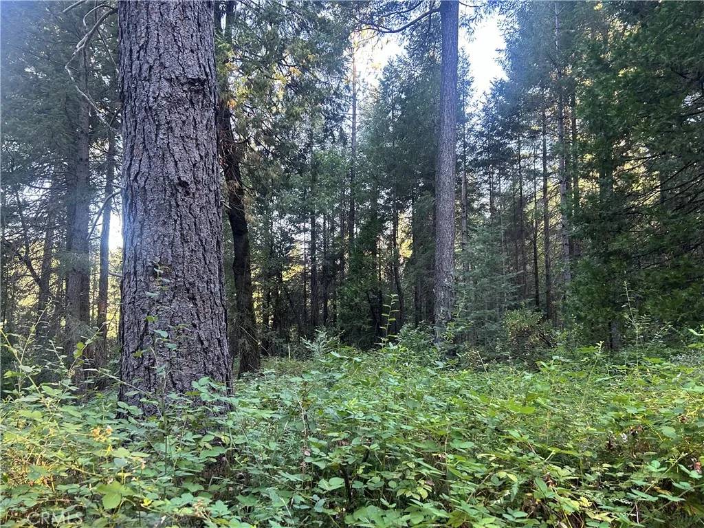 Magalia, CA 95954,6418 Hupp Coutolenc