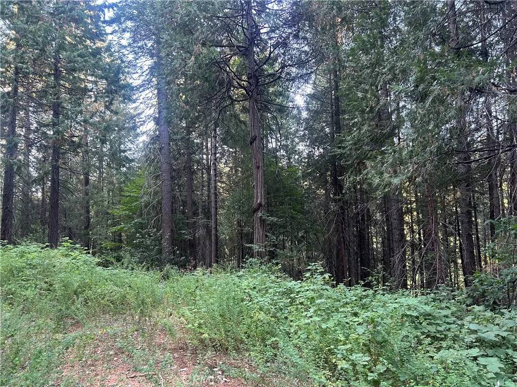 Magalia, CA 95954,6418 Hupp Coutolenc