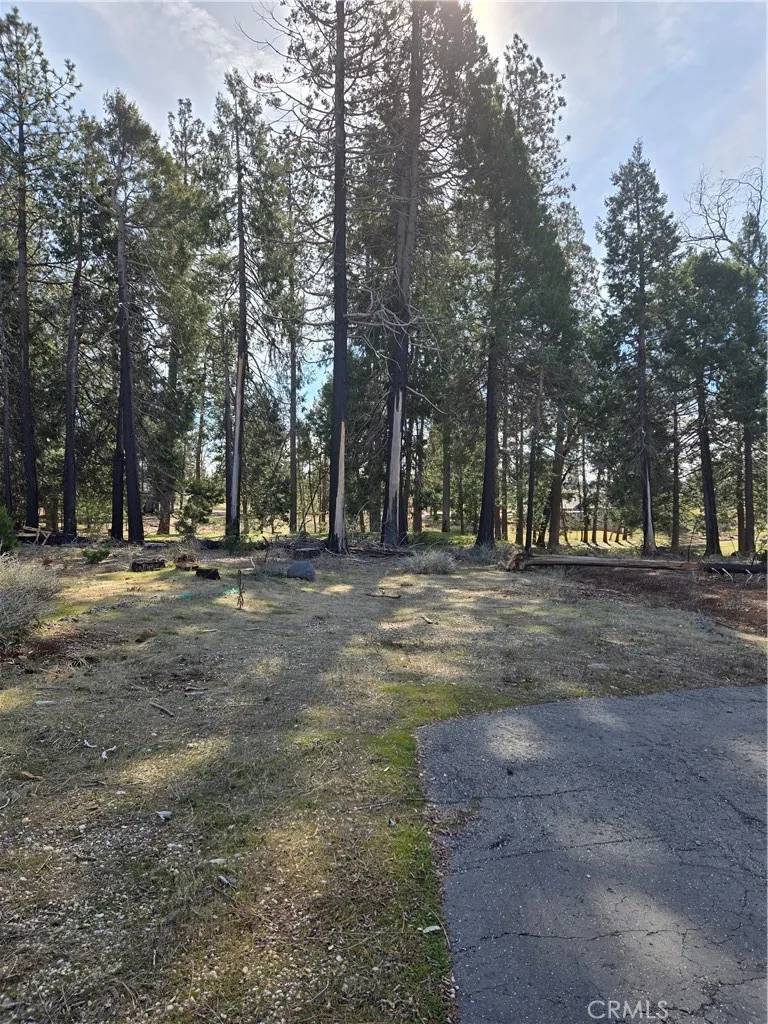 Magalia, CA 95954,13750 W Park