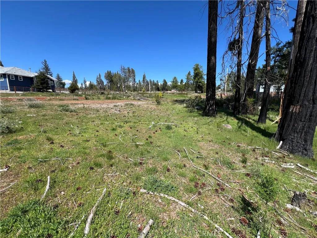 Magalia, CA 95954,13630 Einstoss