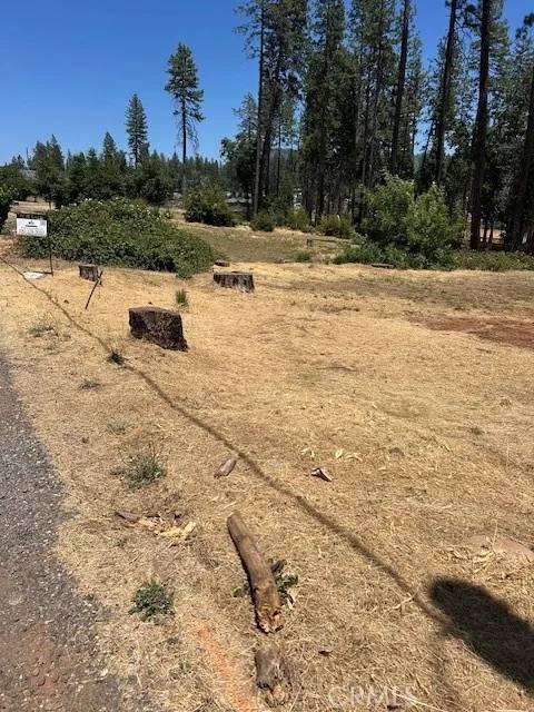 Paradise, CA 95969,6372 Forest