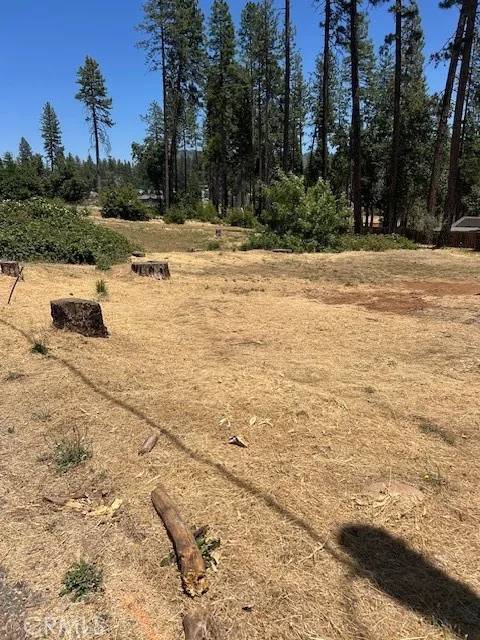 Paradise, CA 95969,6372 Forest