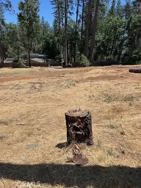Paradise, CA 95969,6372 Forest