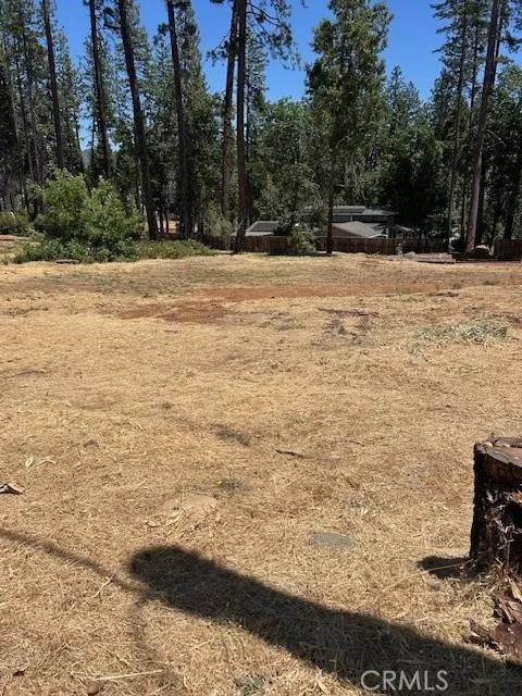 Paradise, CA 95969,6372 Forest