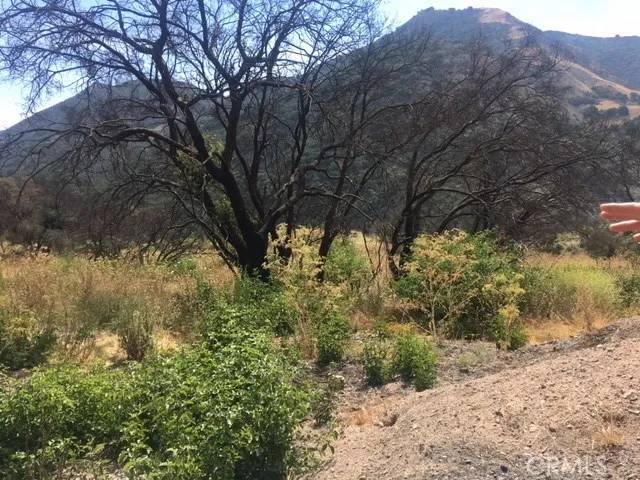 Santa Maria, CA 93454,0 Tepusquet