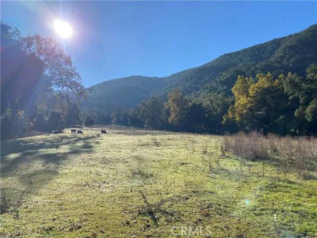 Arroyo Grande, CA 93420,0 Upper Lopez Canyon Rd.