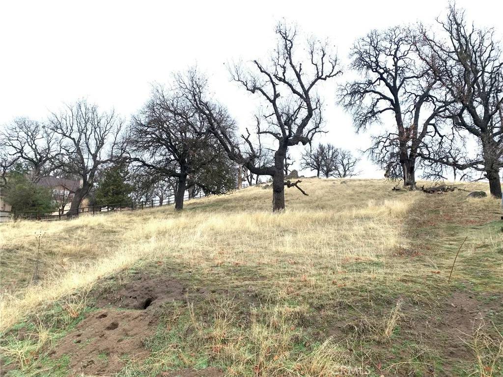 Tehachapi, CA 93561,0 Parke