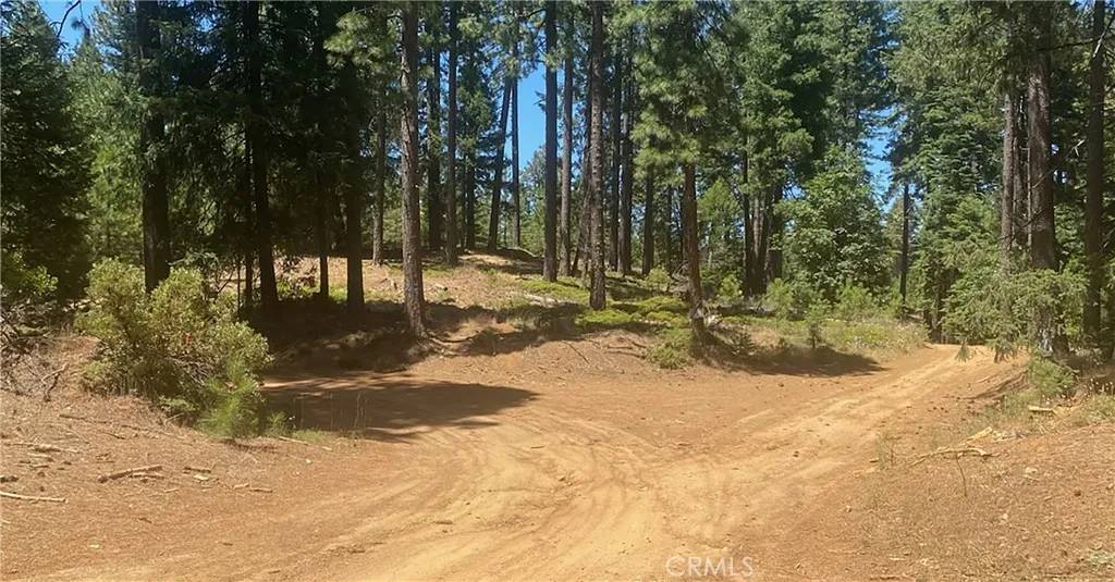 Nevada City, CA 95959,15052 Red Hill Spring