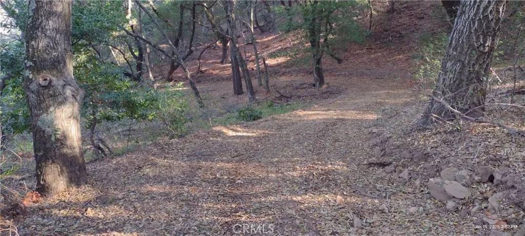 Templeton, CA 93465,9500 Santa Rosa Creek
