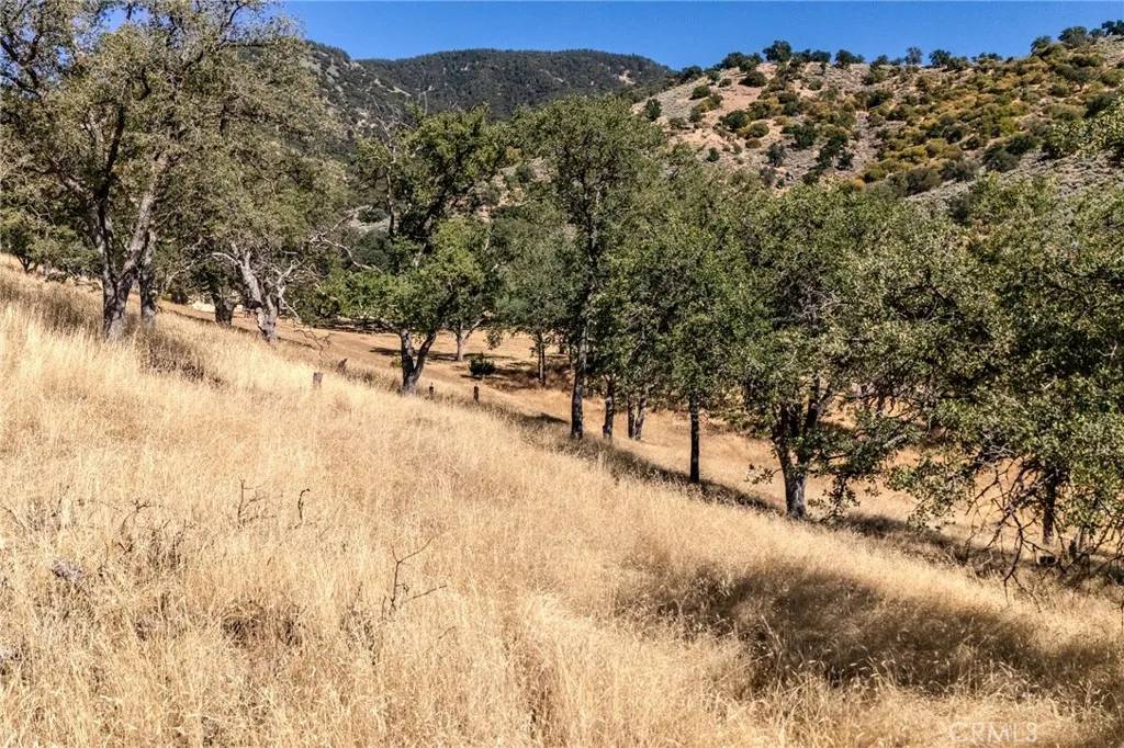 Tehachapi, CA 93561,0 Armed