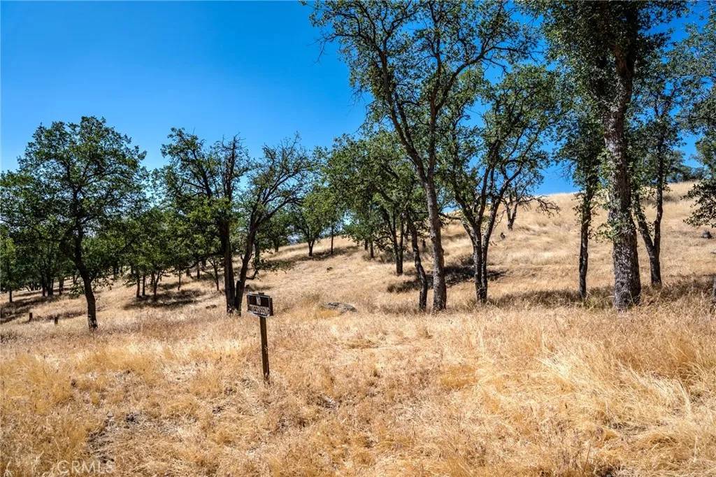 Tehachapi, CA 93561,0 Armed