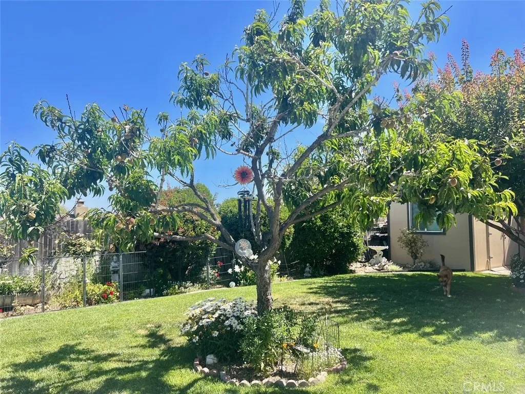 Santa Maria, CA 93455,2942 Stardust Court