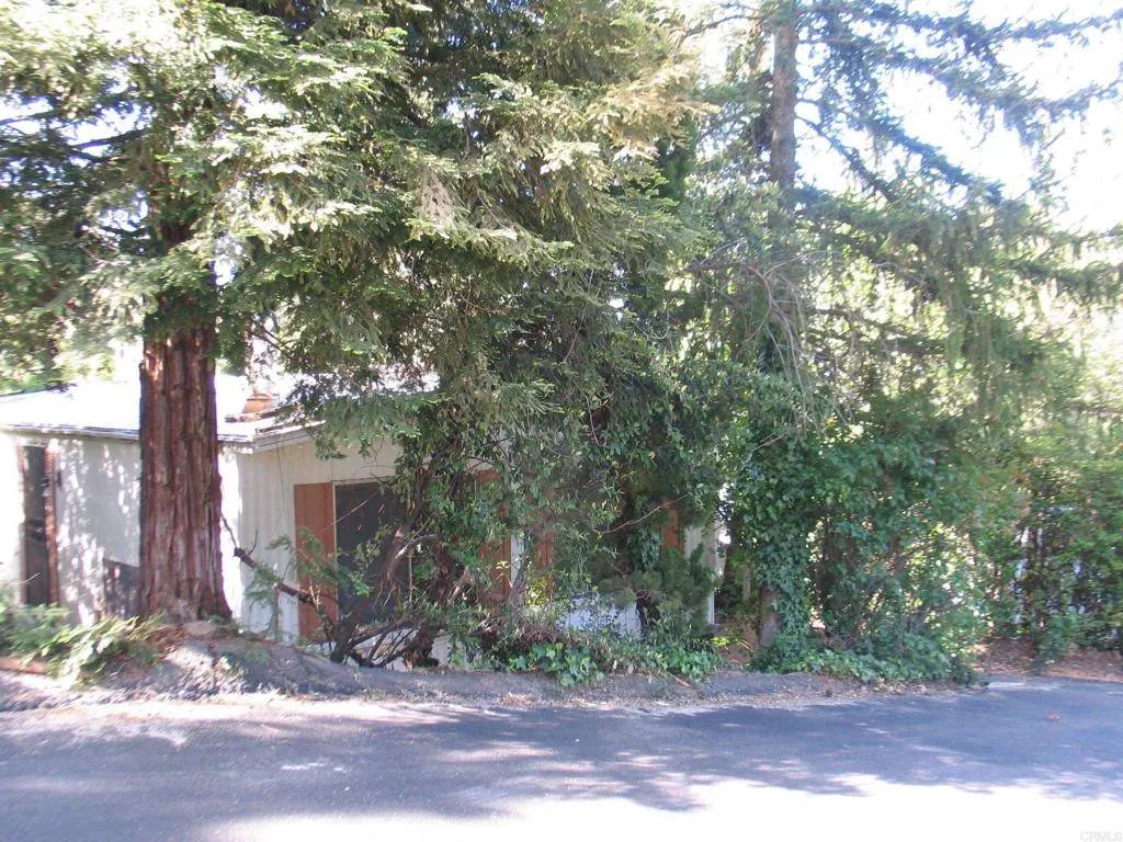 Julian, CA 92036,2485 Washington Street #4