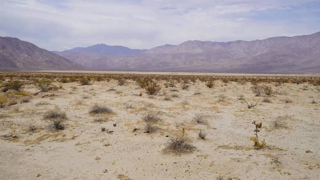 Borrego Springs, CA 92004,0 Borrego Salton Sea