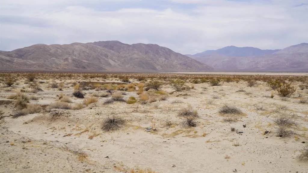 Borrego Springs, CA 92004,0 Borrego Salton Sea