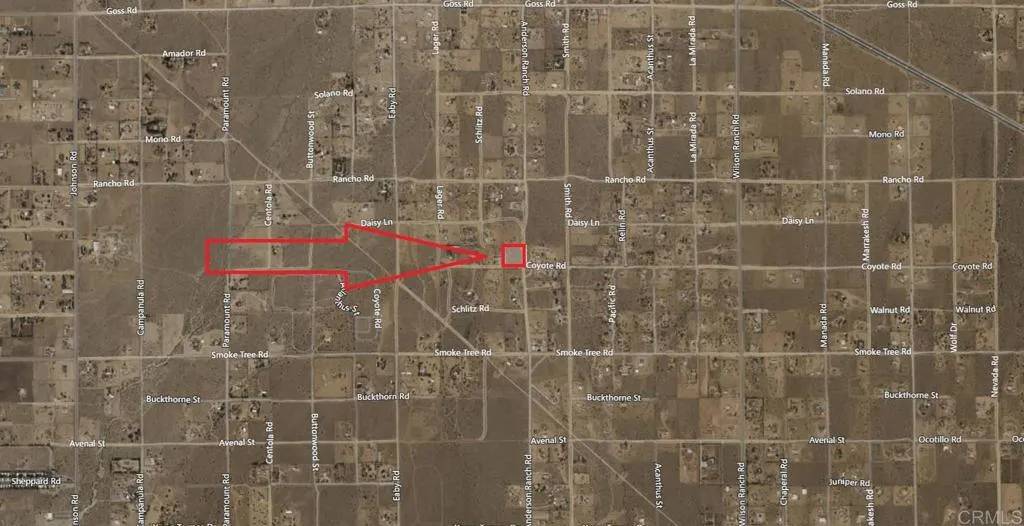 Phelan, CA 92371,0 Coyote