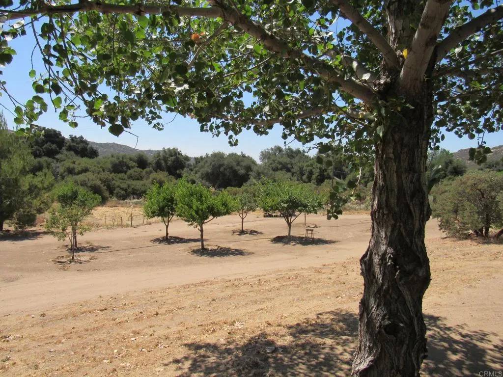 Campo, CA 91906,2142 Buckman Springs Road