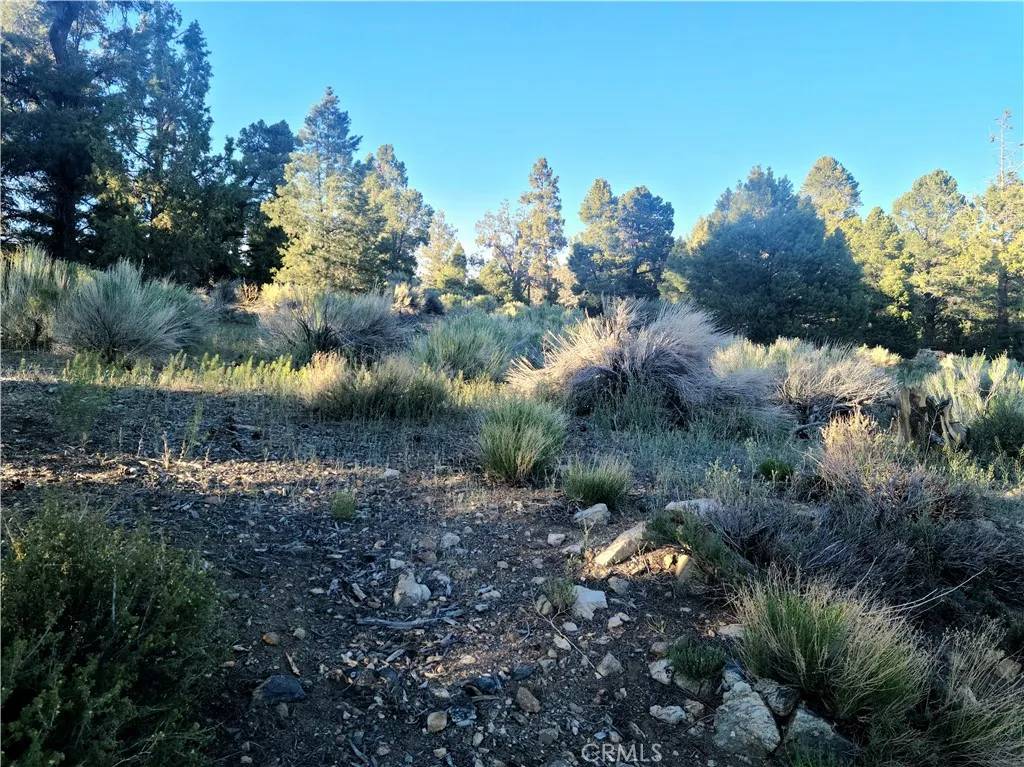 Big Bear City, CA 92314,0 Pelican