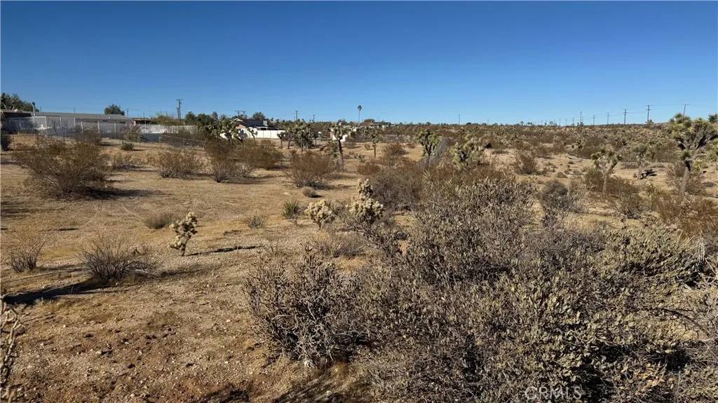 Yucca Valley, CA 92284,0 Yucca Mess