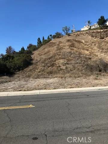Yorba Linda, CA 92887,0 Meadow Land