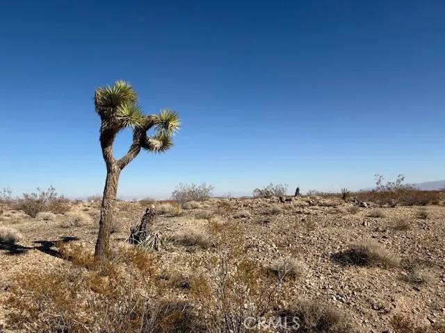 Joshua Tree, CA 92252,2160 Juniper Ave.
