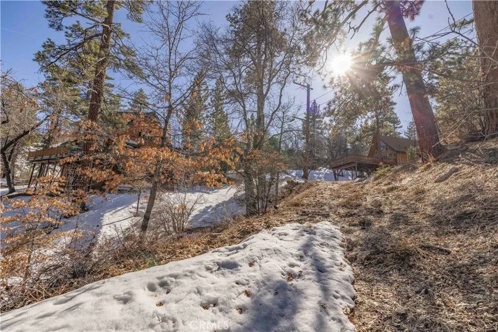 Big Bear Lake, CA 92315,0 Pigeon