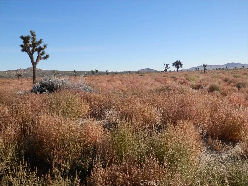 Palmdale, CA 93591,0 110 St. E + AVE O12