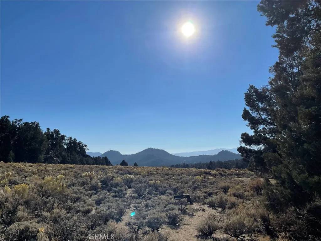 Unincorporated, CA 93527,0 Long Canyon Trl
