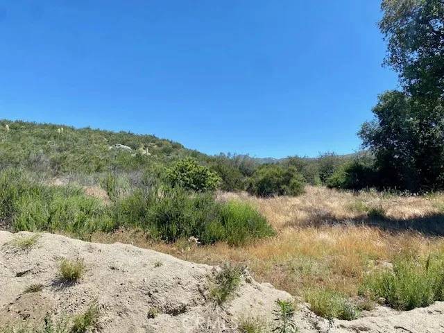 Hemet, CA 92544,44624 Timber