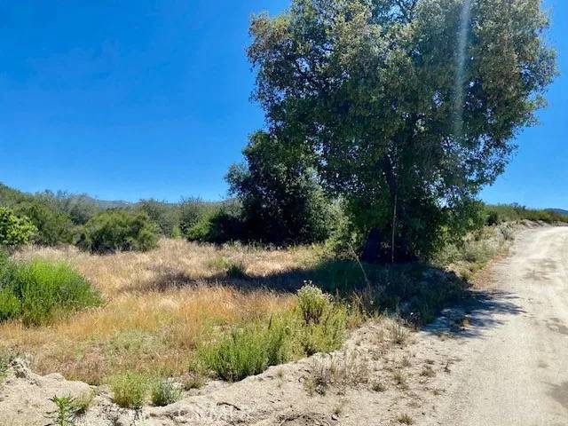 Hemet, CA 92544,44624 Timber