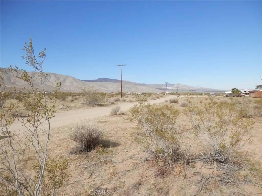 Landers, CA 92285,0 Manzanita